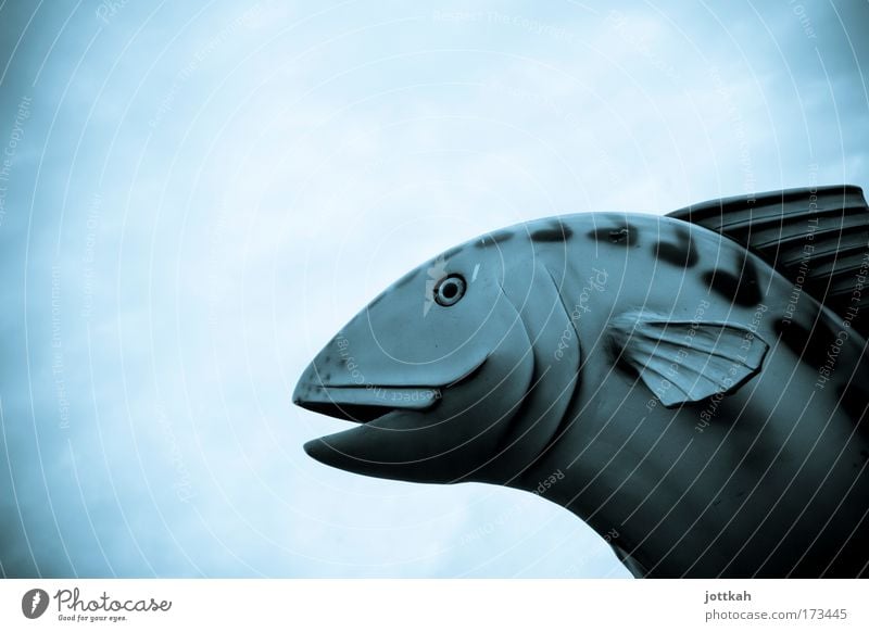 Mal Luft schnappen Farbfoto Experiment Lomografie Holga Textfreiraum links Textfreiraum oben Hintergrund neutral Angeln Skulptur Zoo Tier Fisch Schuppen