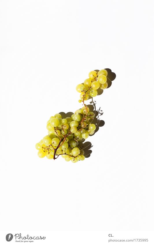 was zur verfügung stand / trauben Lebensmittel Frucht Weintrauben Ernährung Bioprodukte Gesundheit lecker grün Farbfoto Innenaufnahme Studioaufnahme