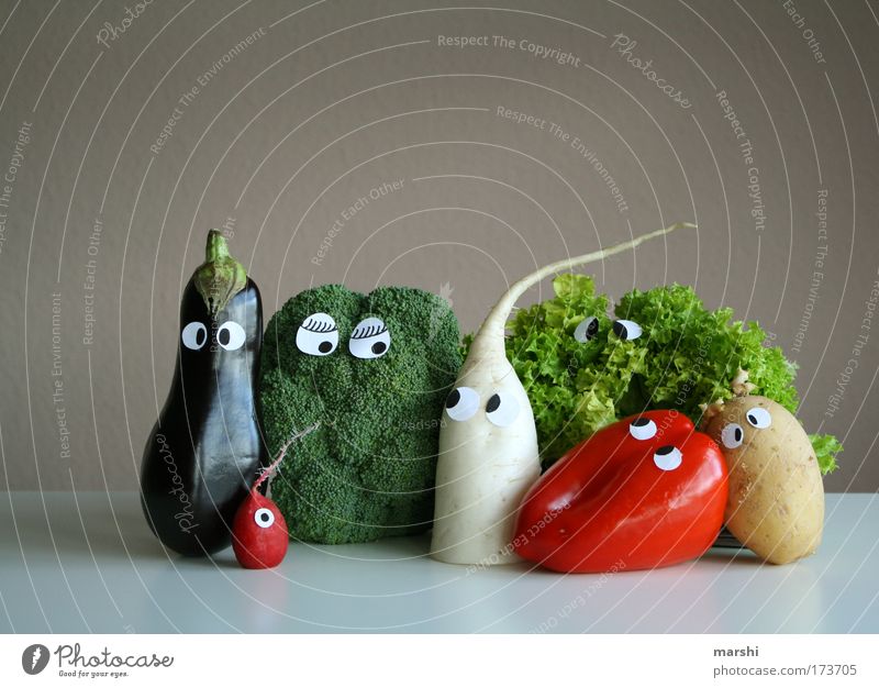 Gemüseauflauf Farbfoto Lebensmittel Ernährung Mittagessen Bioprodukte Vegetarische Ernährung Diät Häusliches Leben Gesundheit lecker mehrfarbig Gefühle Coolness