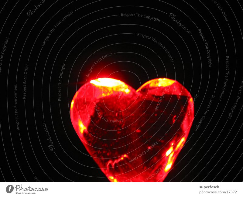 Let Love Rule (3) Physik rot glänzend Herz Liebe Lampe Wärme