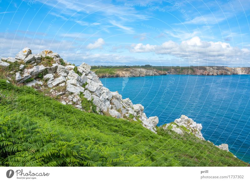 crozon peninsula in Brittany Sommer Meer Natur Landschaft Pflanze Wasser Sträucher Felsen Küste Stein maritim natürlich schön Crozon Halbinsel Bretagne Atlantik