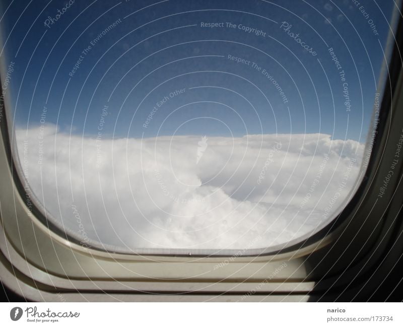 Ausblick über den Wolken - halfpipe-heaven ;-) Himmel Sonnenlicht Schönes Wetter Verkehr Luftverkehr Flugzeug Passagierflugzeug im Flugzeug Flugzeugausblick