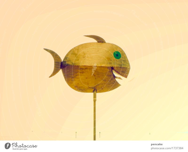 nächstenliebe | vereinsabzeichen Kunst Kunstwerk Fisch 1 Tier Zeichen lachen Christentum Mitgefühl Symbole & Metaphern Zunge seezunge lustig Ironie Farbfoto