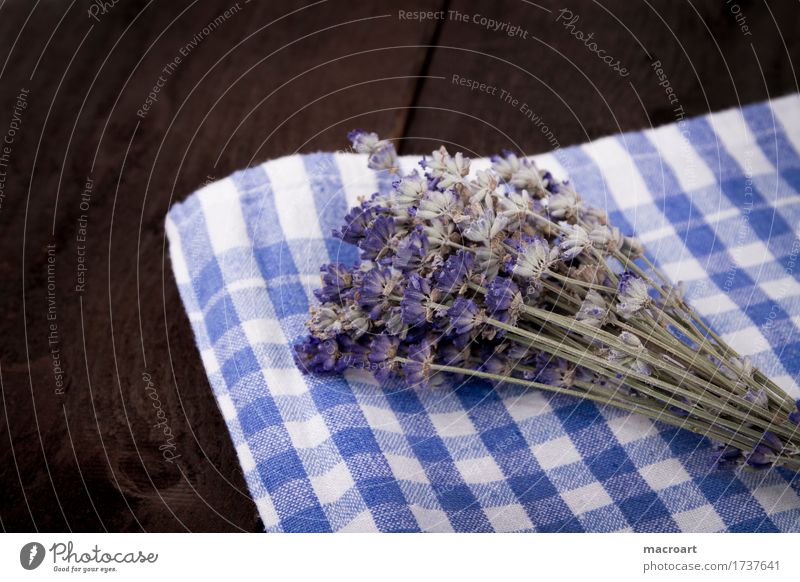 Lavendel flos Tisch Blume Blüte Blumenstrauß violett Duft Geruch riechend Holztisch Holzplatte beruhigend Heilpflanzen Medikament Alternativmedizin
