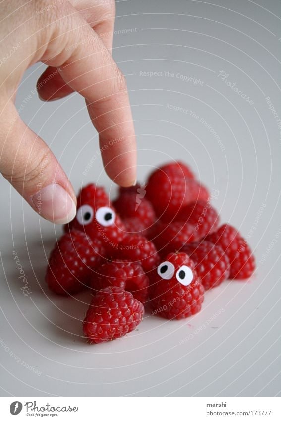 bald seid ihr Himbeereis... Farbfoto Lebensmittel Frucht Ernährung Essen Bioprodukte Vegetarische Ernährung Diät Auge Hand Finger Gesundheit lecker rot Gefühle