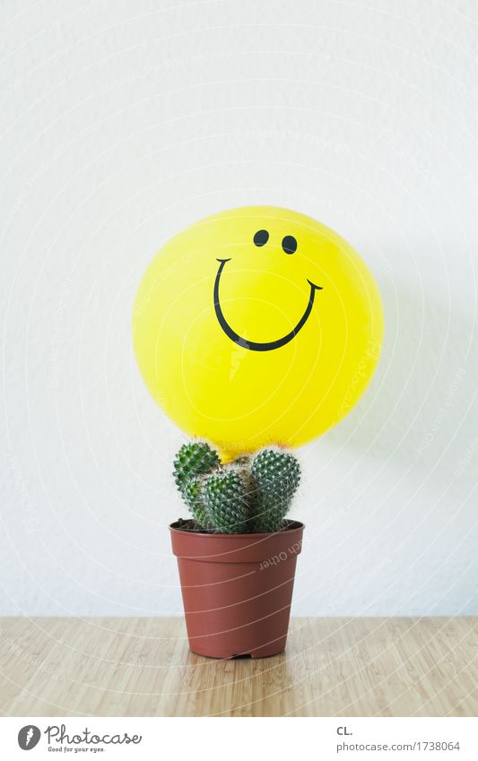 optimist Häusliches Leben Wohnung Innenarchitektur Dekoration & Verzierung Tisch Kaktus Luftballon Lächeln lachen bedrohlich Fröhlichkeit positiv Spitze gelb