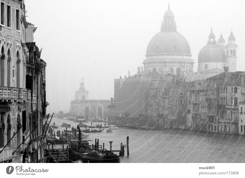 Venedig im Februar Schwarzweißfoto Außenaufnahme Schatten Silhouette Zentralperspektive Lifestyle Ferien & Urlaub & Reisen Tourismus Sightseeing Städtereise