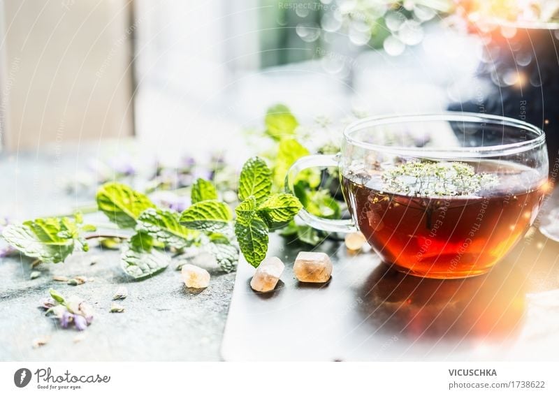 Tasse mit Kräutertee am Fenster Lebensmittel Kräuter & Gewürze Bioprodukte Vegetarische Ernährung Diät Getränk Heißgetränk Tee Stil Design Gesundheit