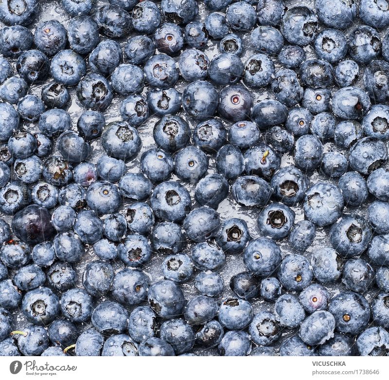 Heidelbeeren Hintergrund Lebensmittel Frucht Dessert Ernährung Bioprodukte Stil Design Gesunde Ernährung Natur Hintergrundbild Vitamin Blaubeeren Beeren