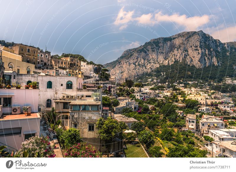 Capri harmonisch Wohlgefühl Zufriedenheit Sinnesorgane Erholung Ferien & Urlaub & Reisen Tourismus Ausflug Abenteuer Sommer Sommerurlaub Insel Berge u. Gebirge