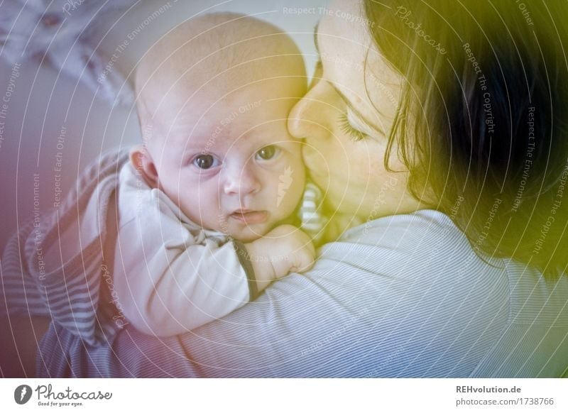 mutterglück Gesundheit Zufriedenheit ruhig Mensch feminin Baby Frau Erwachsene Mutter Gesicht 2 0-12 Monate 30-45 Jahre beobachten Küssen Umarmen authentisch