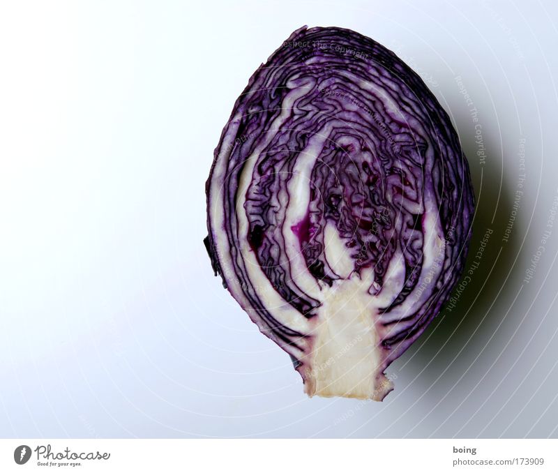 schöne Farben Strukturen & Formen Menschenleer Lebensmittel Gemüse Rotkohl Rotkohlblatt Ernährung Bioprodukte Vegetarische Ernährung Gesundheit Häusliches Leben