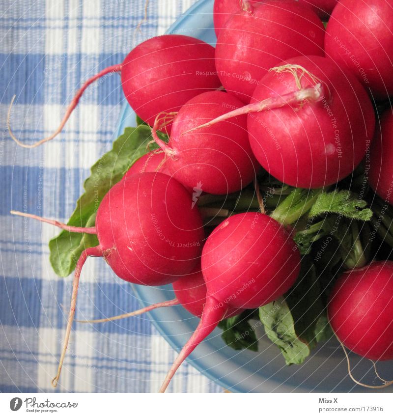 Radieschen Farbfoto mehrfarbig Innenaufnahme Nahaufnahme Detailaufnahme Lebensmittel Gemüse Ernährung Abendessen Büffet Brunch Festessen Picknick Bioprodukte