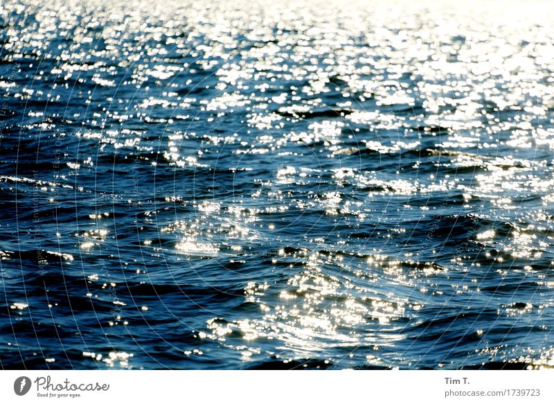 das Meer Umwelt Natur Landschaft Wasser Sommer Ostsee Horizont See Wellen Wellengang Farbfoto Außenaufnahme Menschenleer Tag Licht Kontrast