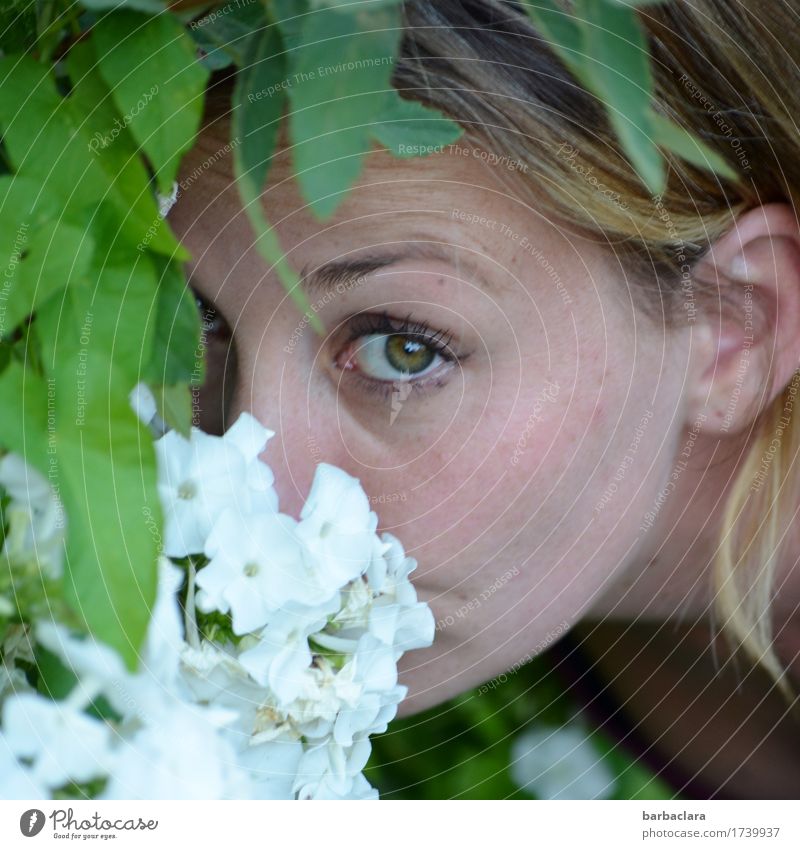überwacht | das Wachsen und Gedeihen feminin Frau Erwachsene 1 Mensch Natur Pflanze Sommer Blatt Blüte Garten beobachten Blühend Duft Blick Gefühle Freude Klima