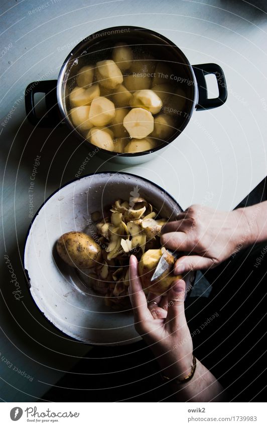 Geduldsspiel Hand Finger Frauenhand Schalen & Schüsseln Küchentisch Essen zubereiten Kartoffeln häuten Messer Topf Tragegriff Metall Kunststoff