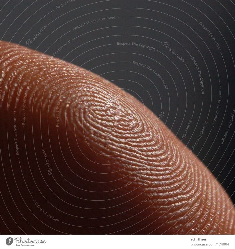 Irrgarten Makroaufnahme Haut Hand Finger Fingerabdruck Profil Papillarleisten einzigartig Fingerkuppe Daumen Ordnung Mensch Bogen Windung Tag
