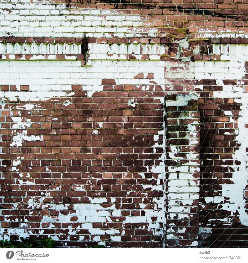 Bei uns wären es Falten Menschenleer Ruine Bauwerk Gebäude Scheune Mauer Wand Fassade historisch trashig Verfall Vergänglichkeit Zerstörung Backstein