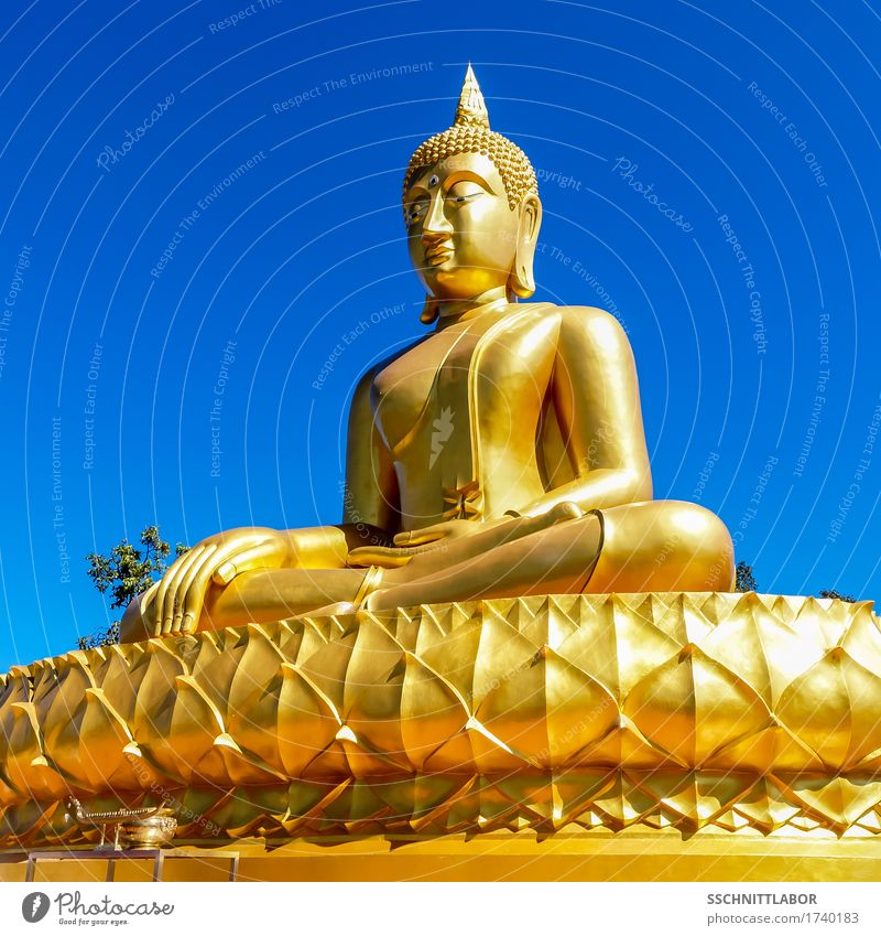 Fine giant Theravada Buddha seated in lotus posture exotisch schön harmonisch Zufriedenheit Meditation Ferien & Urlaub & Reisen Tourismus Sommer Erfolg Skulptur
