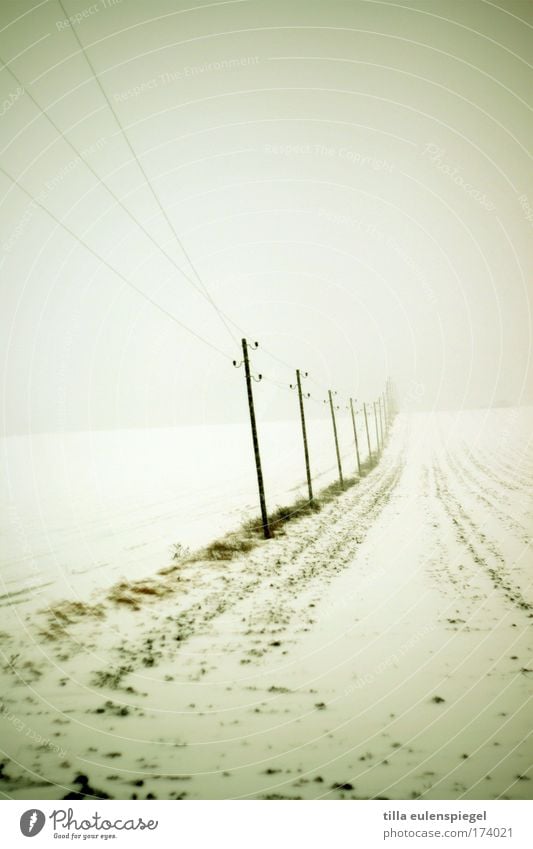 l l l Gedeckte Farben Außenaufnahme Experiment Menschenleer Morgendämmerung Kabel Landschaft schlechtes Wetter Nebel Eis Frost Schnee Feld authentisch kalt