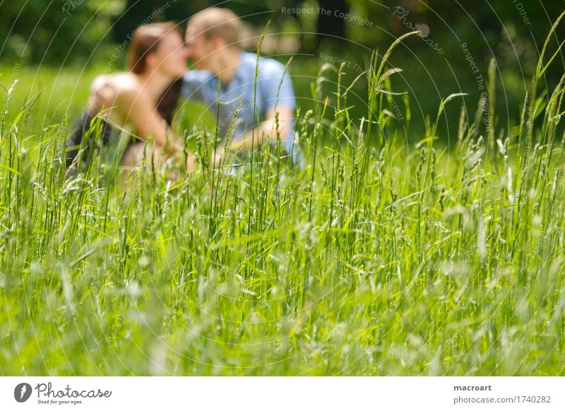 Frühlingsgefühle Paar Liebe Gefühle Sommer Unschärfe Gras Wiese sitzen Liebespaar Zuneigung Mann Frau Junge Dame maskulin feminin Natur Außenaufnahme