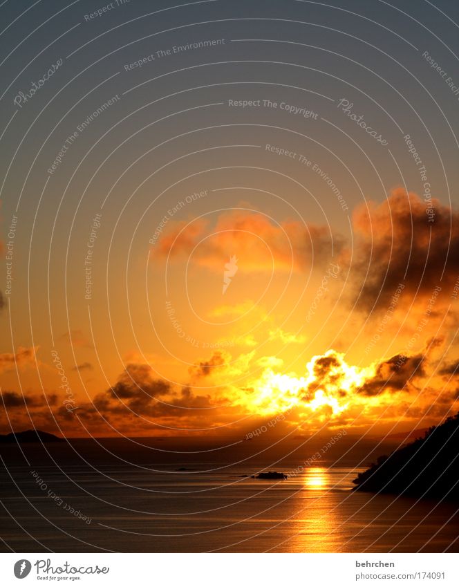 der himmel brennt Farbfoto Außenaufnahme Menschenleer Textfreiraum oben Morgendämmerung Sonnenlicht Sonnenaufgang Sonnenuntergang Ferien & Urlaub & Reisen