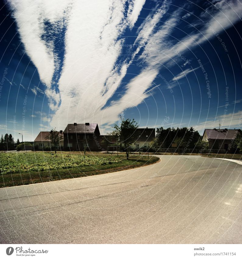 Vom Winde verweht Himmel Wolken Horizont Klima Schönes Wetter Baum Gras Sträucher Feld Straßenbeleuchtung Laternenpfahl Landkreis Teltow-Fläming Deutschland