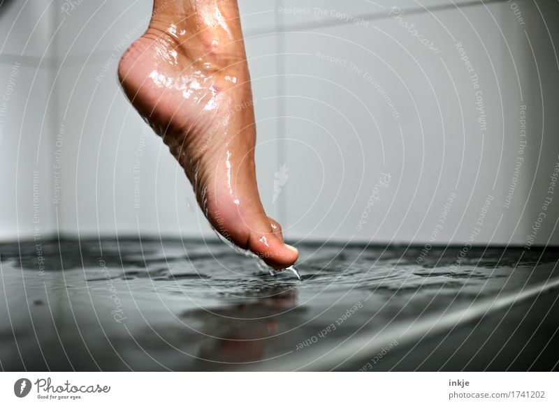nasser Fuß schön Körperpflege Pediküre Unter der Dusche (Aktivität) Sinnesorgane Kur Spa Frau Erwachsene Leben Frauenfuß Barfuß 1 Mensch Wasser natürlich dünn