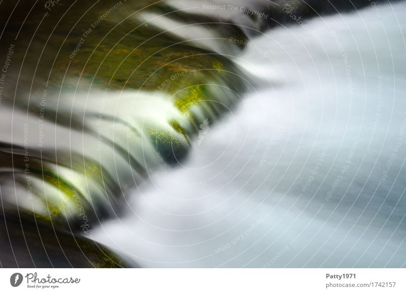 Wildes Wasser Natur Bach Fluss Wasserfall Stromschnellen nass grün weiß ruhig Energie Erholung Zufriedenheit rein Umwelt Farbfoto Außenaufnahme