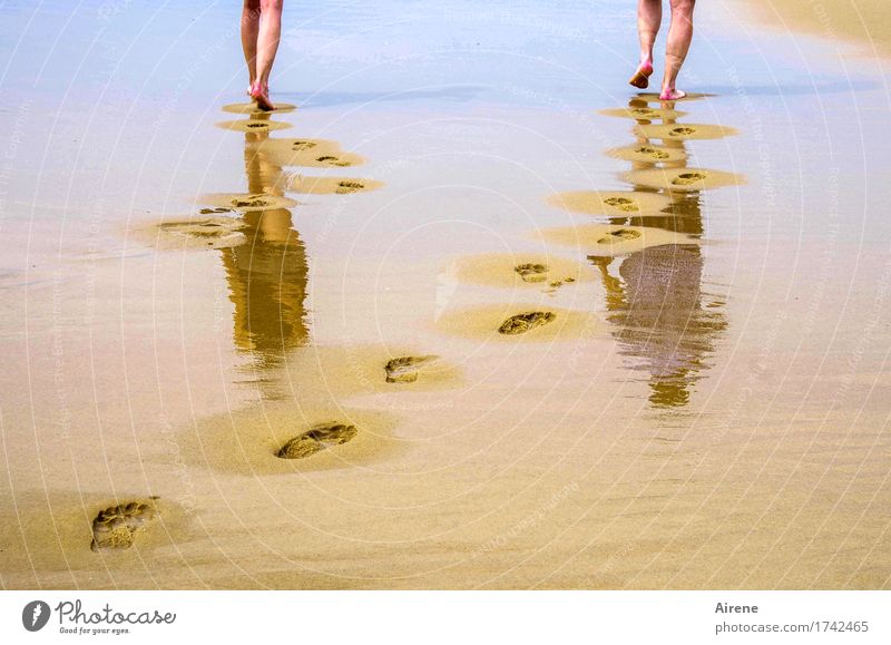 900 Schritte... Sommerurlaub Strand Meer Mensch maskulin feminin Junge Frau Jugendliche Mann Erwachsene Vater Leben Beine Fuß 2 18-30 Jahre 45-60 Jahre Sand
