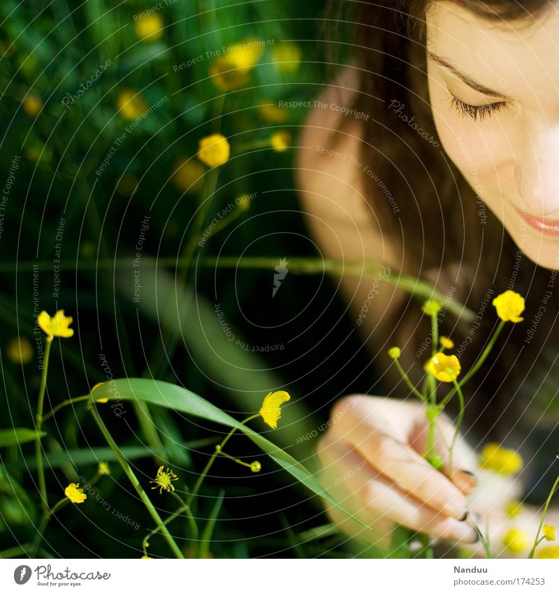 genießen feminin Junge Frau Jugendliche 18-30 Jahre Erwachsene schön Zufriedenheit Sommer Schönes Wetter Wiese Blume Geruch Duft Lächeln sanft Glück friedlich