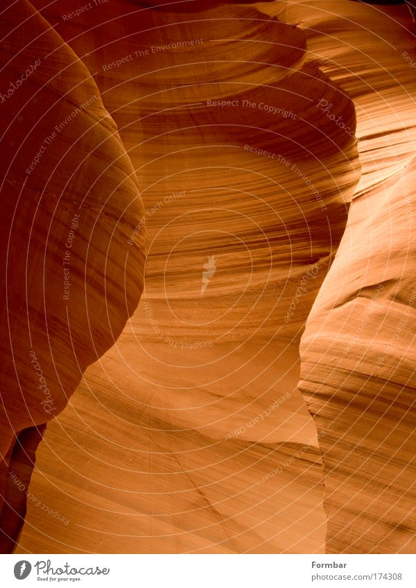 antilop canyon Farbfoto Außenaufnahme Strukturen & Formen Schatten Starke Tiefenschärfe Profil Umwelt Natur Erde Felsen Berge u. Gebirge Schlucht gelb rot Tag