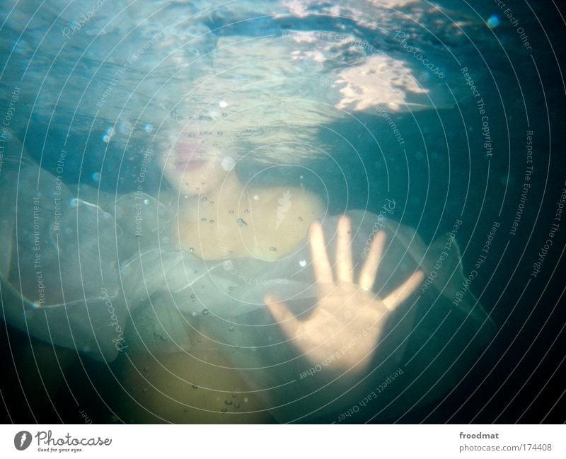 hai Farbfoto mehrfarbig Unterwasseraufnahme Kunstlicht Blitzlichtaufnahme Oberkörper Blick in die Kamera Wellness Whirlpool Schwimmen & Baden Mensch feminin