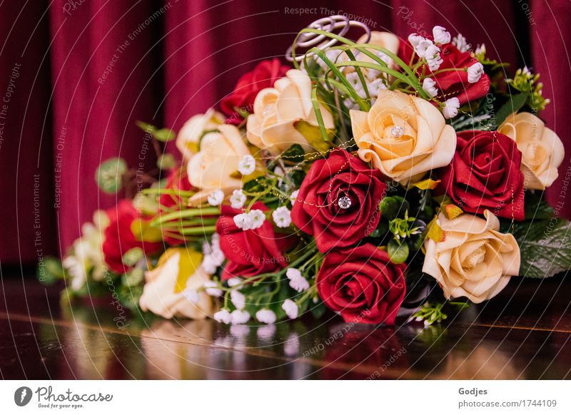 Brautstrauß 3 Pflanze Rose ästhetisch Freude Liebe Gefühle Zukunft Wassermühle Hochzeit Farbfoto Nahaufnahme Detailaufnahme Menschenleer Textfreiraum links