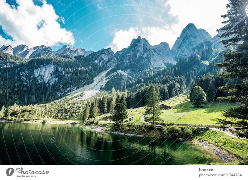 gosausee Umwelt Natur Landschaft Wasser Wolken Baum Wiese Wald Felsen Alpen Berge u. Gebirge Seeufer Gosausee Sauberkeit blau grün Farbfoto Außenaufnahme