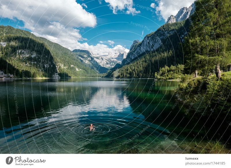 auffi obi eini Schwimmen & Baden wandern Natur Landschaft Wasser Wolken Sommer Felsen Alpen Berge u. Gebirge Dachsteingruppe Seeufer Gosausee frieren blau grün