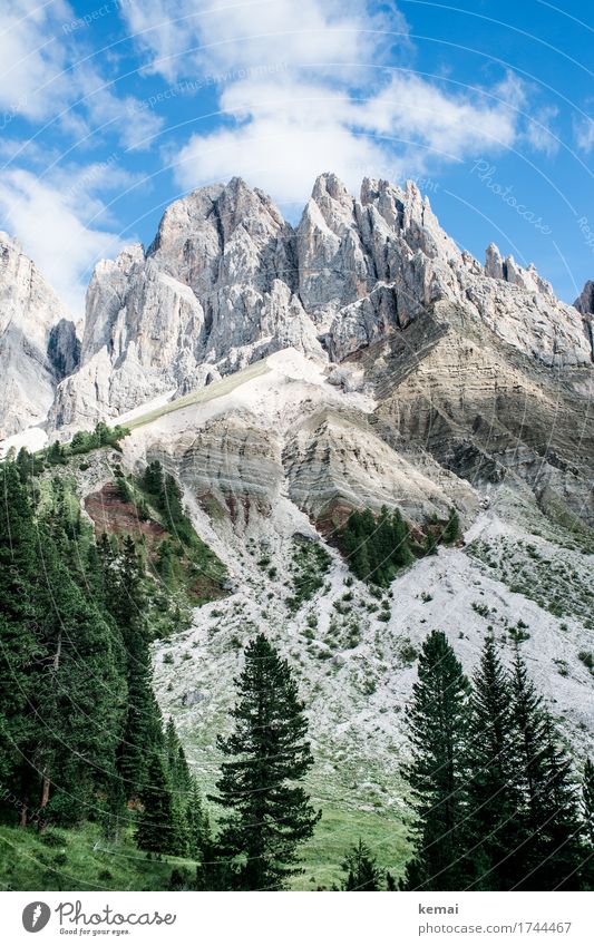 Dolomiti Ferien & Urlaub & Reisen Abenteuer Ferne Freiheit wandern Südtirol Umwelt Natur Landschaft Pflanze Urelemente Himmel Wolken Sommer Schönes Wetter Baum