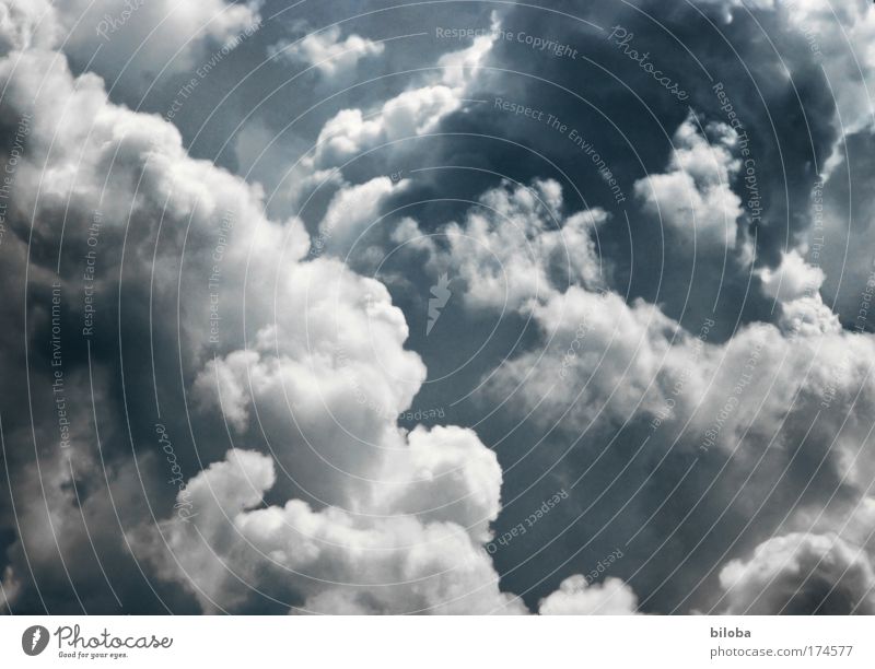 Wir fliegen durch eine kleine Wolke... Wolken Gewitter Gewitterwolken Wetter Sturm Umwelt Klima Klimawandel Himmel Tag Schatten Kontrast Silhouette