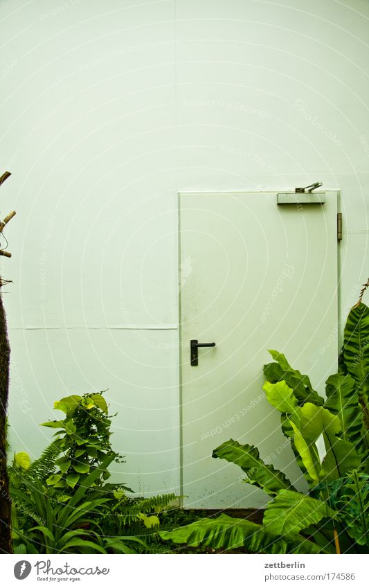 Dschungel (Ausgang) Tür Griff Eingang Pflanze Palme Raum biosphäre Naturschutzgebiet Garten grün Sauerstoff