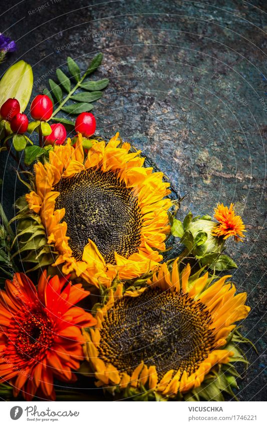 Herbstlicher Blumenstrauß mit Sonnenblumen Stil Design Dekoration & Verzierung Natur Pflanze Sommer Blatt Blüte gelb Stillleben altehrwürdig dunkel rustikal
