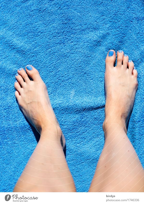 Klassiker in Blau Stil schön Nagellack Wellness Erholung Sommer feminin Jugendliche Beine Fuß 1 Mensch 18-30 Jahre Erwachsene Badetuch genießen ästhetisch