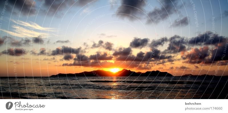 zeit für romantik Farbfoto Außenaufnahme Menschenleer Abend Dämmerung Sonnenlicht Sonnenaufgang Sonnenuntergang Gegenlicht Ferien & Urlaub & Reisen Tourismus