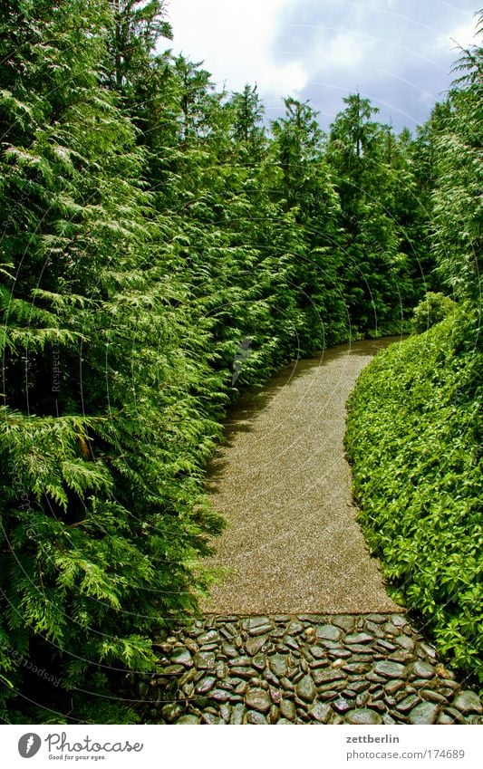 Kurve Park Garten Wege & Pfade Baum Gras Wiese Pflanze Allee Erholung Erholungsgebiet Ferien & Urlaub & Reisen Sauerstoff Natur Himmel Sommer