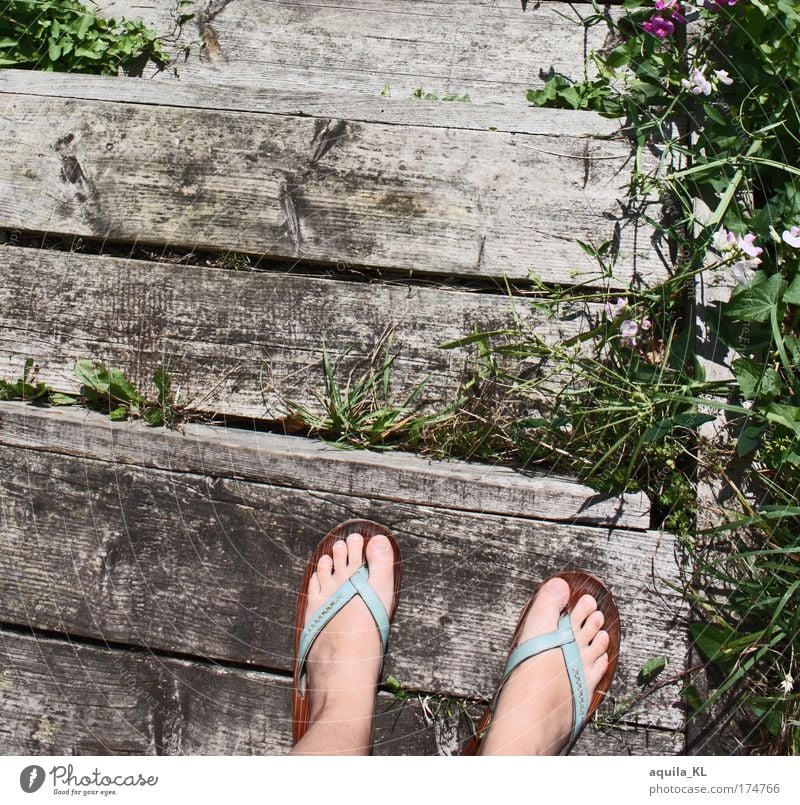 Der Steg feminin Fuß Pflanze Gras Wildpflanze alt Flipflops Treppe Treppenabsatz Zehen Schuhe kaputt Unkraut Farbfoto Tag