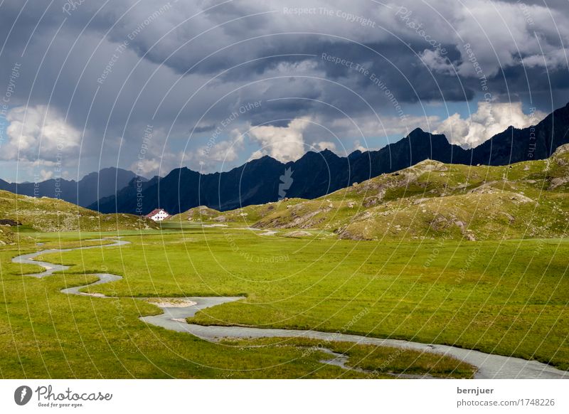 Hochmoor Natur Pflanze Wolken Gewitterwolken Wetter schlechtes Wetter Regen Alpen Moor Sumpf außergewöhnlich bedrohlich blau grün Hütte Stubai regensburger