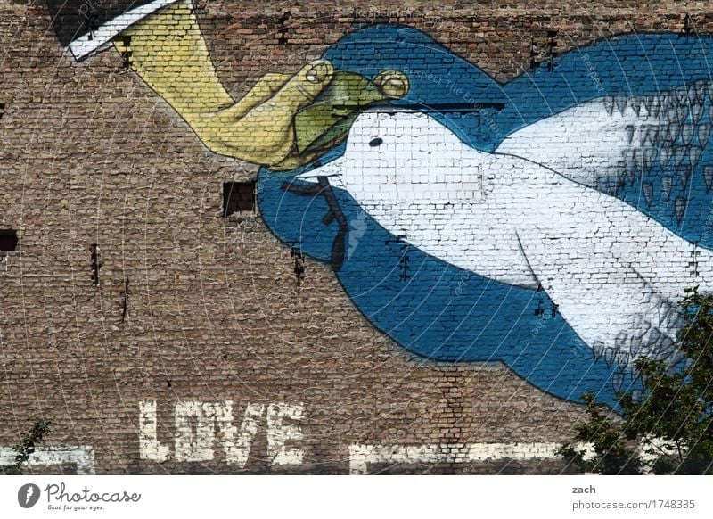 TonTaubenSchießen Hand Kunst Maler Straßenkunst Graffiti Stadt Hauptstadt Mauer Wand Fassade Vogel Zeichen Schriftzeichen Friedenstaube fliegen füttern blau