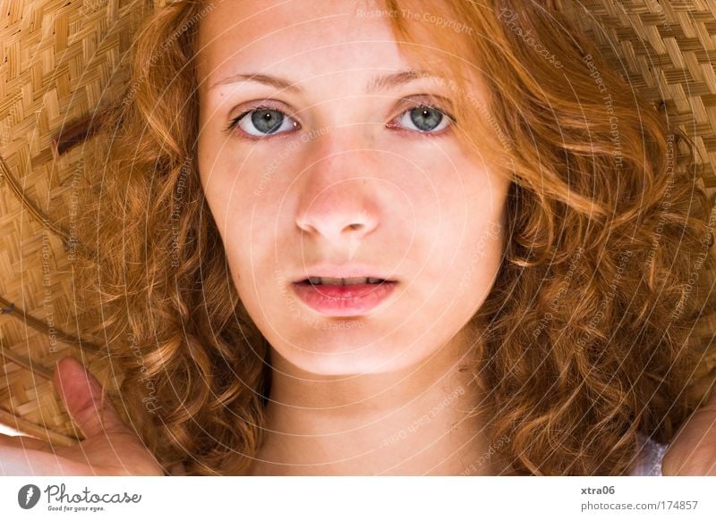 sommermädchen Farbfoto Außenaufnahme Sonnenlicht Porträt Blick Blick in die Kamera Blick nach vorn Mensch feminin Junge Frau Jugendliche Erwachsene Haut Kopf