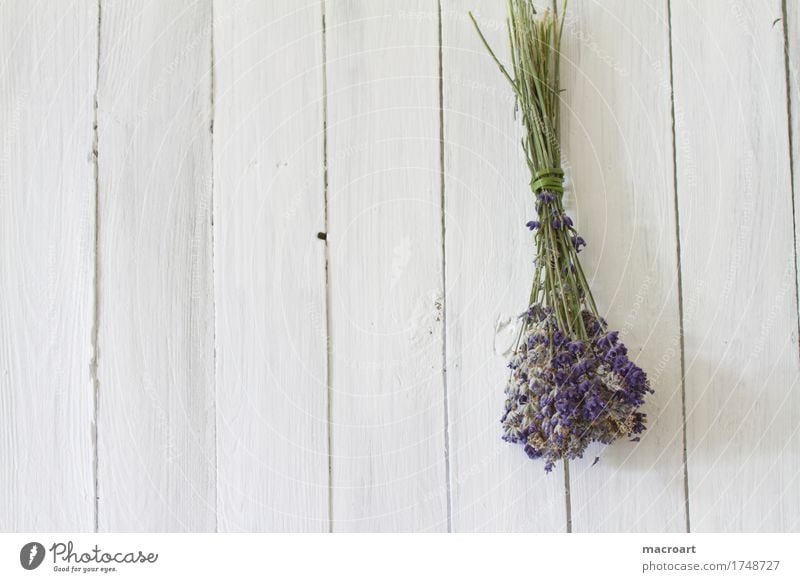 Lavendel auf Holzplatte flos Tisch Blume Blüte Blumenstrauß violett Duft Geruch Holztisch beruhigend Heilpflanzen Medikament angustifolia vera sedativum unruhig