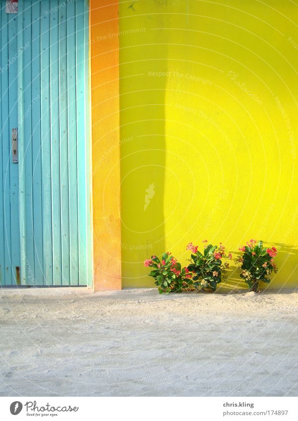 Hauseingang auf Maafushi Farbfoto mehrfarbig Außenaufnahme Dämmerung Schatten Sonnenlicht Zentralperspektive exotisch harmonisch Erholung ruhig