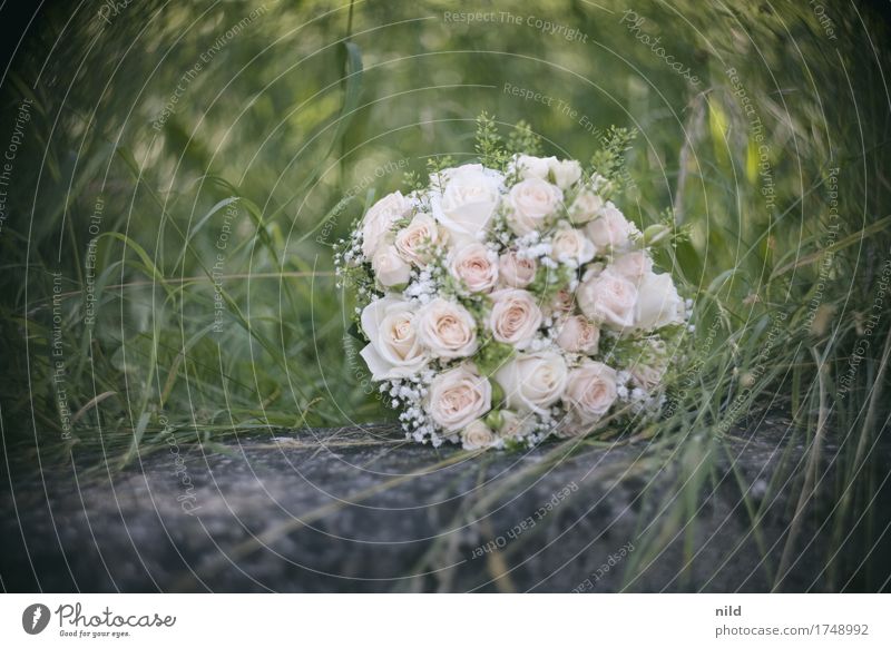 Brautstrauß Hochzeit Natur Rose Park Wiese Blumenstrauß schön Liebe Helios Unschärfe Außenaufnahme Nahaufnahme Experiment Textfreiraum links Tag